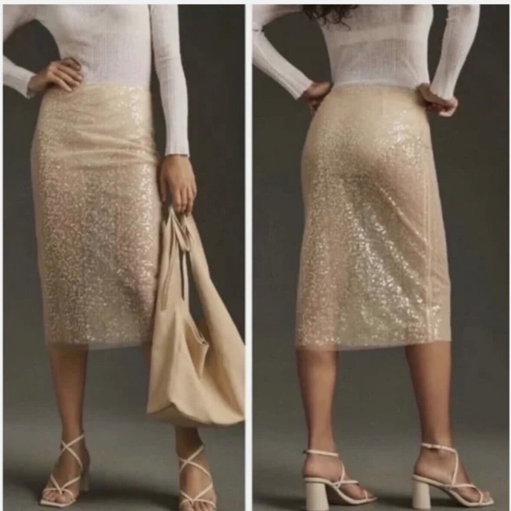 Jason Wu sheer Ivory Tulle Festive sequin Midi skirt Sz 4 New